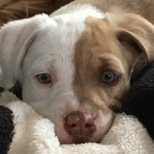 Meet your Posher, Maritza